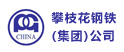 遵義攀枝花鋼鐵集團(tuán)公司